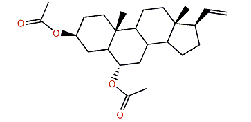 Ximaosteroid B